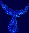 Friend/Ally Glyph